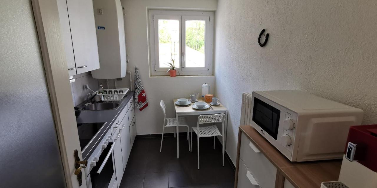 Helvetia 2 Zimmer Apartment Mit Parkplatz Zúrich Exterior foto
